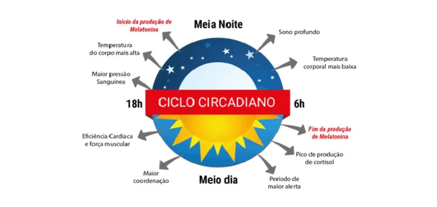 Apresentação do ciclo circadiano