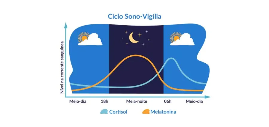 Ciclo circadiano e a produção de melatonina e cortisol