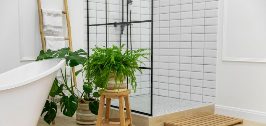Banheiro com plantas